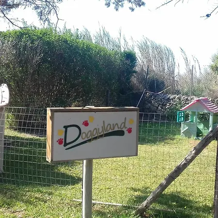 Apartment L'araucaria