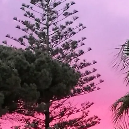 L'araucaria Turismo Rurale